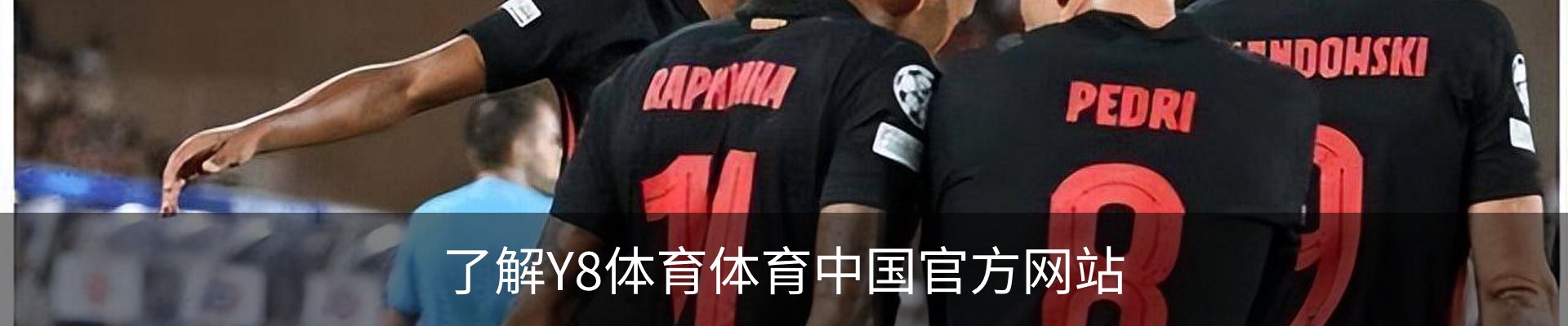 了解Y8体育体育中国官方网站