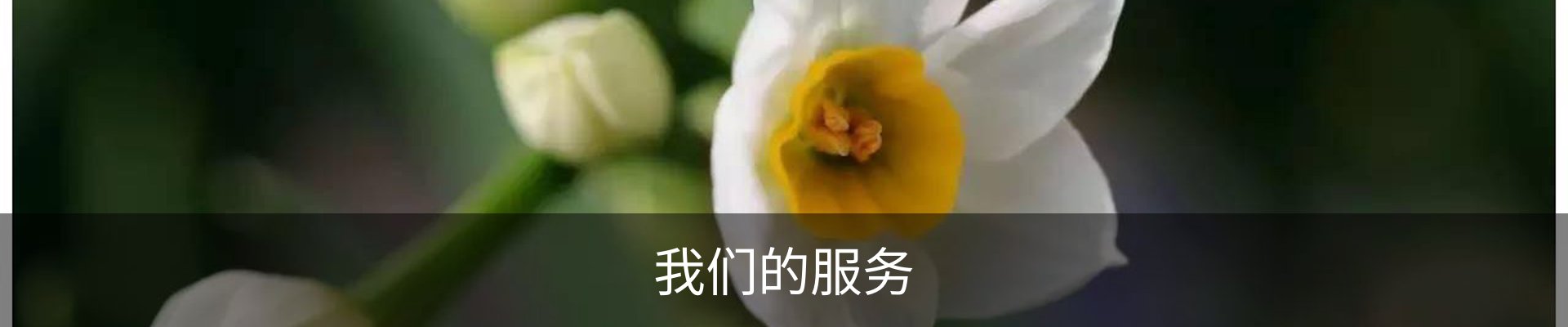 我们的服务